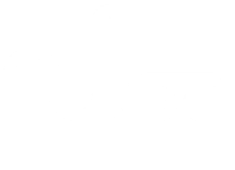 Pulse
